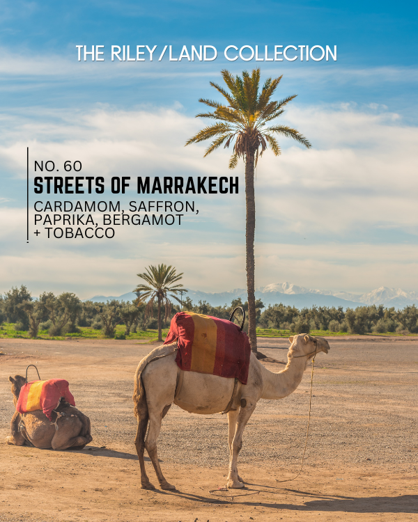 RLC No. 60 | Streets of Marrakech