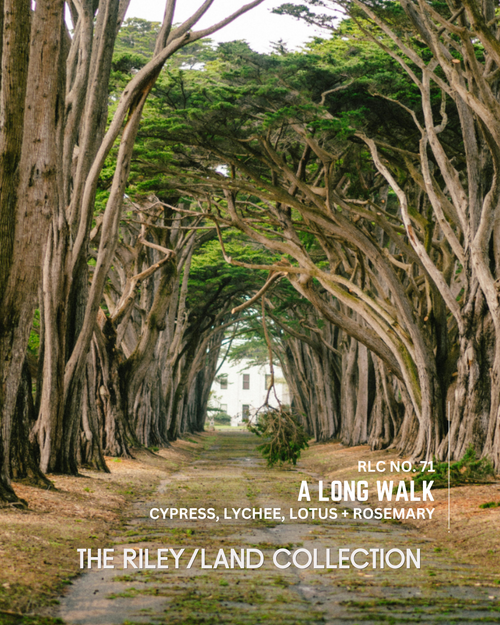 RLC No. 71 | A Long Walk