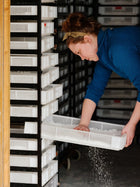 Copos de sal marina de Noruega 