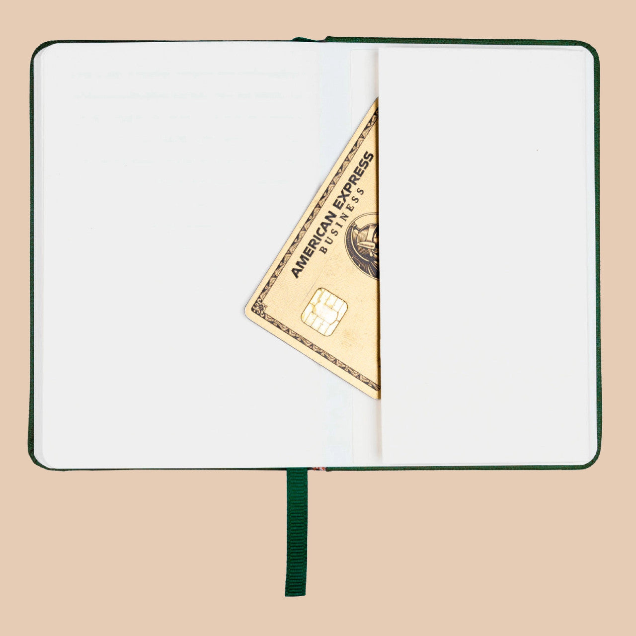 Diario de bolsillo - Oliva 