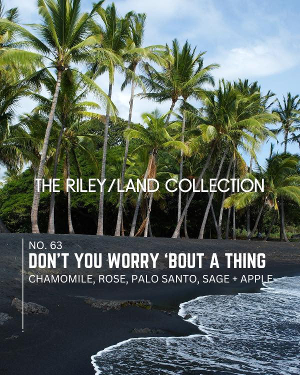 RLC No. 63 | Don't You Worry 'Bout a Thing