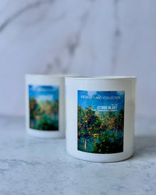 RLC No. 64 | Citrus Blast