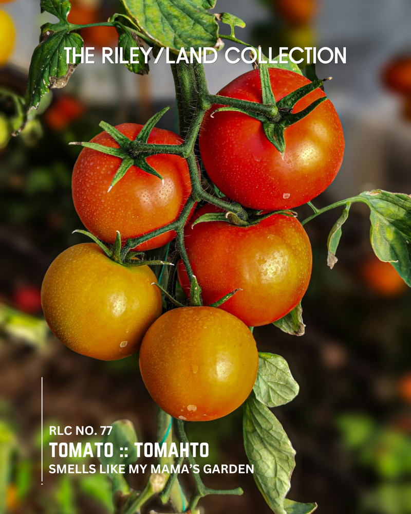 RLC No. 72 | El Jardín 