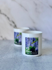 RLC N.° 61 | Wisteria Lane 