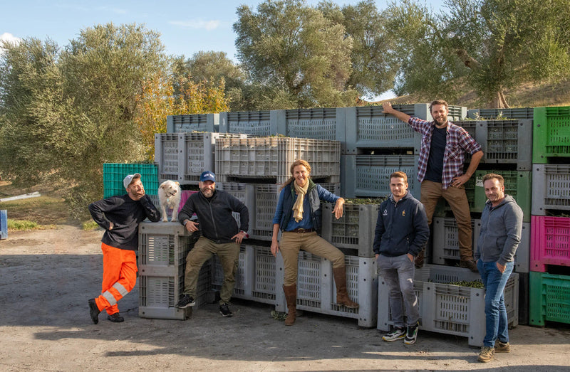 Cucino Extra Virgin Olive Oil 250mL (Cook)