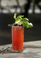 Walker's Spicy Southern Bloody Mary Mix