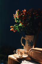 Mini tubo de té negro Earl Grey de lavanda (5 bolsitas)