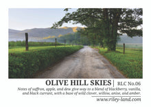 Life of Riley: RLC No. 04 | Olive Hill Skies Candle